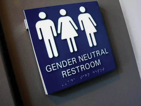 Los baños diferenciados por sexos podrían ser obligatorios para los nuevos edificios en Inglaterra según la ley propuesta